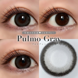 Secret CandyMagic 1day Pulmo Gray シークレットキャンディーマジックワンデー プルモグレー